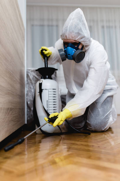 Best Bed Bug Extermination  in Olivet, MI